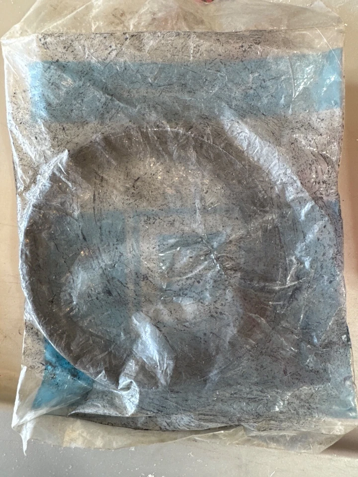 SELLO DE ACEITE del cigüeñal del motor General Motors #10088158 para Chevrolet y GMC Foto 2 de 2