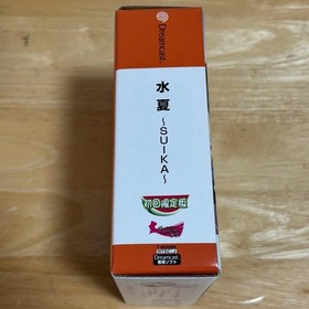 Dreamcast Mizuka SUIKA First Limited Edition + Anonymous Girl Hat Set