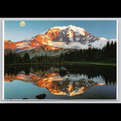 Vintage Postcard Mount Rainier Washington 1989 Unposted Scenic View Historic