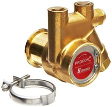 Procon 111A100F11AA Brass Rotary Vane Pump, 3/8" NPTF, 112 Material 