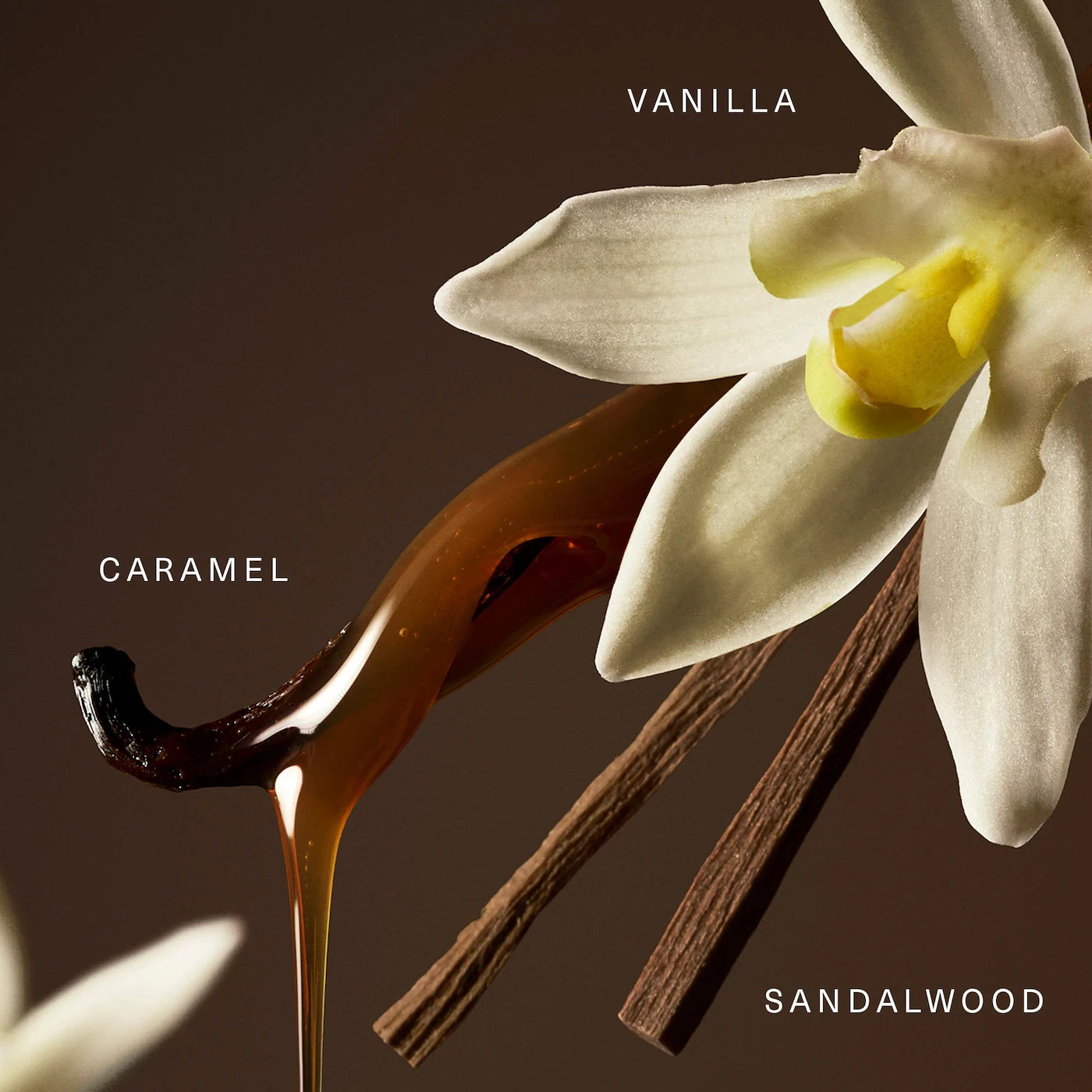 Rare Beauty by Selena Gomez Rare Eau de Parfum with Vanilla and Caramel, 50ml