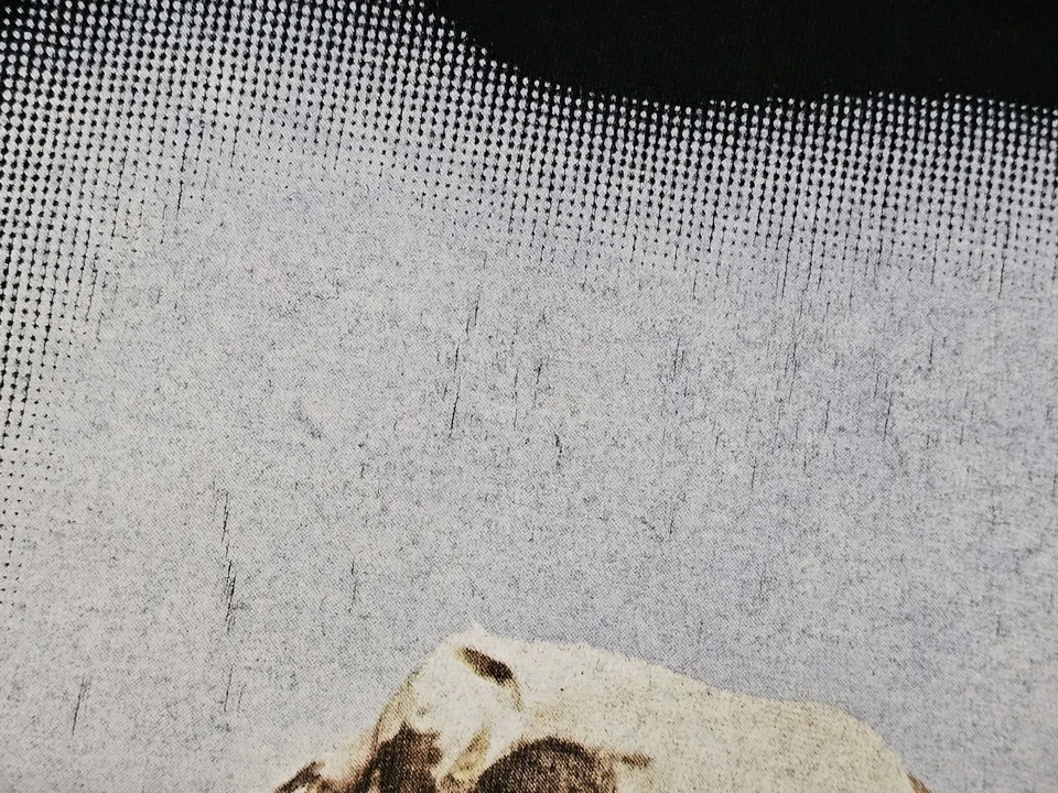 VINTAGE T SHIRT Pink Floyd Atom Heart Mother 1999 Black Cotton Size M - Image 4 of 4