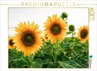 Calvendo Puzzle Sunflower Field | 1000 Pieces, Finished Size 25.2 × 18.9 In (64
