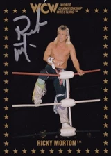 Ricky Morton Signed WCW Wrestling Trading Card NWA WWE Wrestler #102 1991