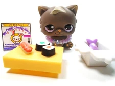 Littlest Pet Shop Rare Grey Persian Cat with accessories
