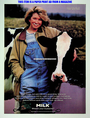 Martha Stewart Got Milk? 1997 Trade Print Magazine Ad Poster ADVERT