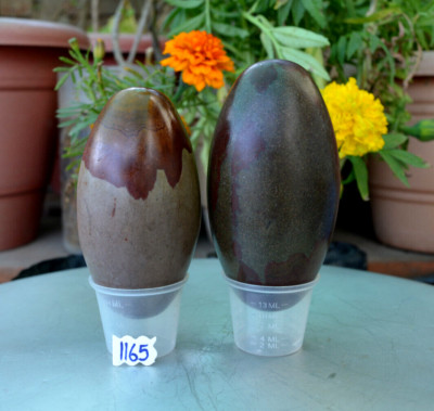 Shiva Lingam Narmada ( 2 Pcs )The God Stone''Sacred God Stone Natural Stone-1165