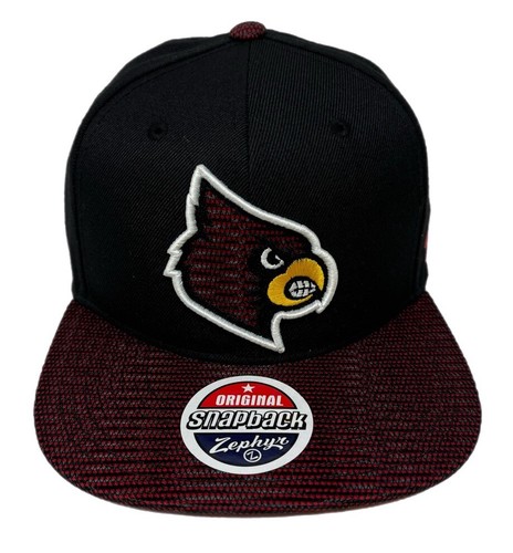 Zephyr NCAA Virginia Tech Hokies Snapback Hat – Officially Licensed 3D Embroidered Low-Profile Cap