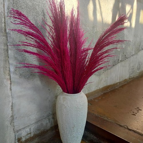 Purple Red Pampas Grass Decor Tall, 8pcs 31.5" Natural Dried Colorful Pompas flo
