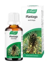 A. Vogel, Plantago lanceolata oral Drops 50ml. BBE 10/2029