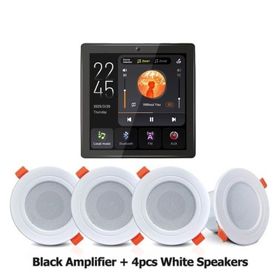 Smart Home Wall Amplifier 4x30W Bluetooth Audio Touch Screen Dual Zone FM AUX