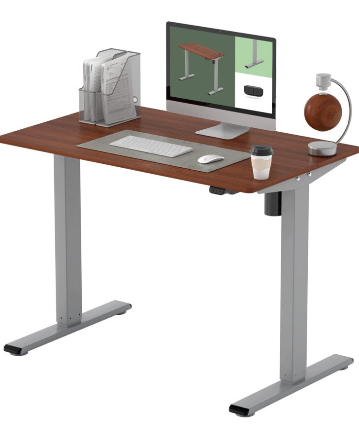 Flexispot EG1 Essentials Standing Desk 40 X 24 Inches (Grey Frame 