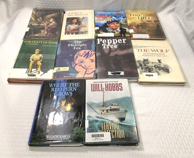LOT OF 10 YOUNG ADULT CHAPTER BOOKS / HC / NO DUPLICATES