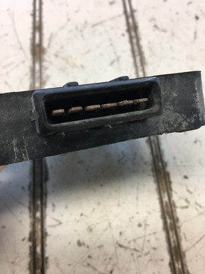 その他 Na0Taurus The Nothosaurus by drawasaurus04 on DeviantArt