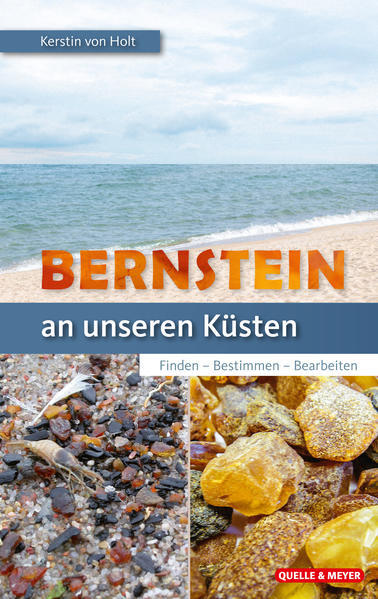 Thumbnail - Bernstein An Unseren Küsten | Kerstin Von Holt | 2021 | Deutsch