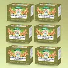 Tadin Ginger Tea Blend, 24 Tea Bags 1.02 fl oz, Bold & Aromatic (6-Pack)