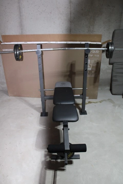 pesas golds gym banca