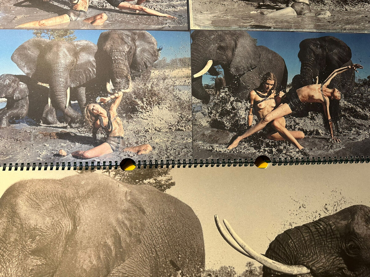 Peter Beard カレンダーPirelli 2009 2009 Pirelli Calendar By Peter Beard Erotica | eBay UK