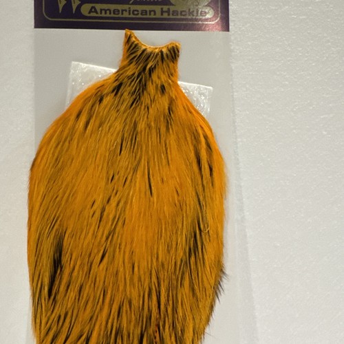 American Rooster Cape BLW dyed Shrimp OrangeBLW dyed Shrimp Orange - Picture 4 of 8