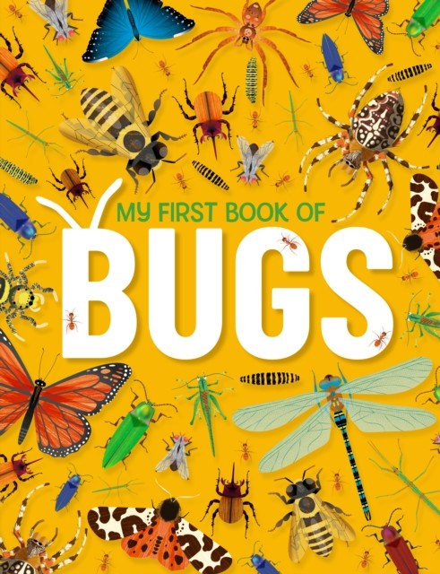 My First Book of Bugs by Emily Kington HARDBACK 9781915461162