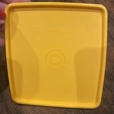Tupperware Replacement Mint Lid For Sandwich Keeper