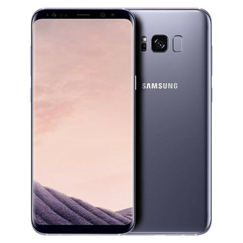 Samsung Galaxy S8+ - 128 GB - Gray (Unlocked)
