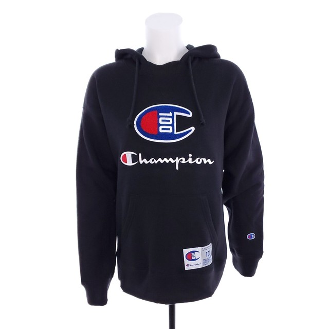 champion sweater 100