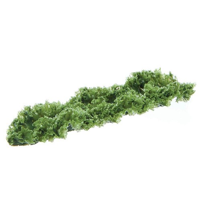 #ad #ad CCI IND INCREDIBLE INEDIBLES Artificial Kale Runner Garnishing Green 12quot; L x $53.69