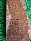 Rough Slab Dinosaur Gem Bone 51g 1/4" Thick Lapidary Cabbing #B-6 — photo 2
