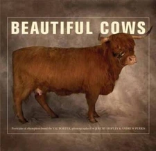 Beautiful Cows - Paperback By Porter, Val - GOOD