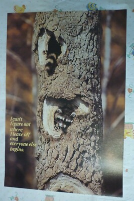 1981 VINTAGE NOS ARGUS POSTER  21'' X 14''  RACCOON IN A TREE  MOTIVATIONAL  