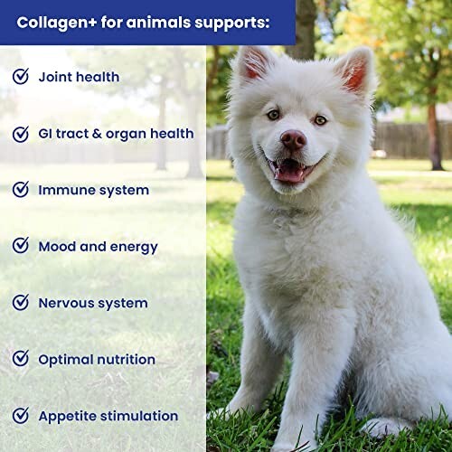 1lb Collagen+ Ultimate Dog or Cat Food Topper with Greens Probiotics Enzymes