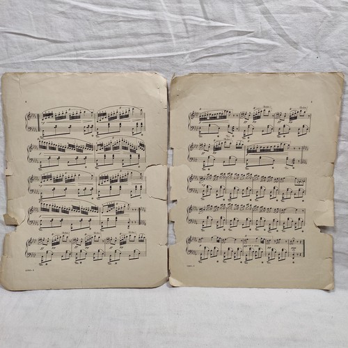 Rare 1908 Antique "Woodland Echoes" By A. P. Wyman Op 34 Sheet Music - 第 24/24 張圖片