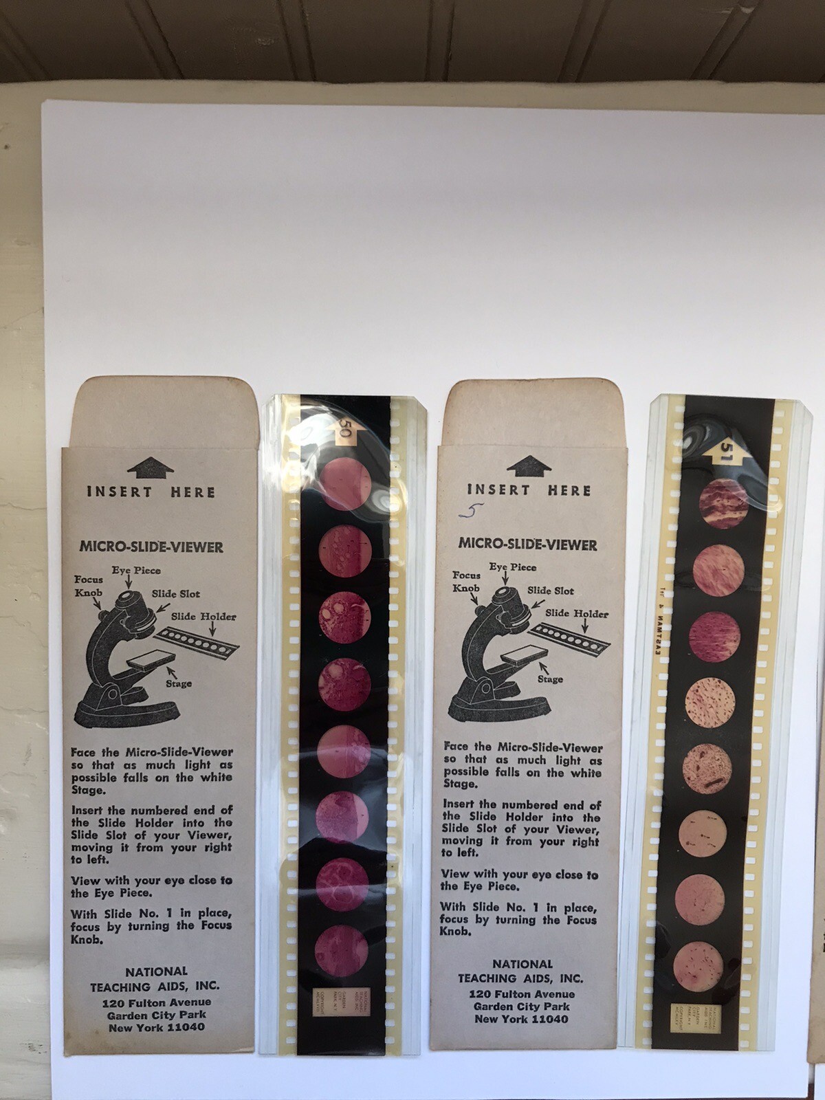 National Teaching Aids, Inc Slide Holders For MicroSlideViewer eBay