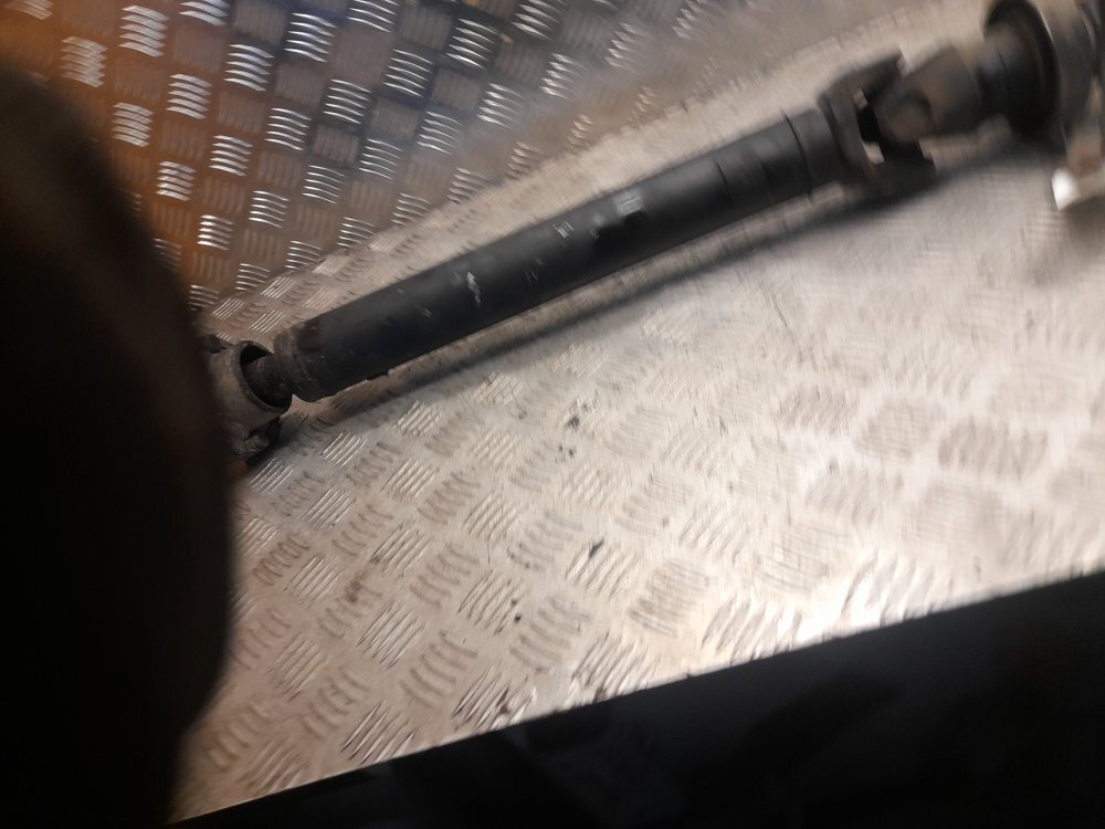 Picture 6 of 6