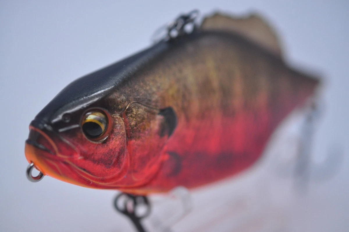 Leurre Souple Imakatsu Javallon 85 – 3DR Super Real, S-577, Pêche Carnassier