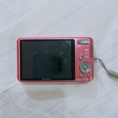 SONY Cyber-shot DSC-W570 16.1 MP 5x Optical Zoom Digital Camera 85
