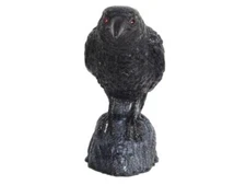 Animated Black Crow Halloween Bird Raven Head Turning Sound Prop Haunted House