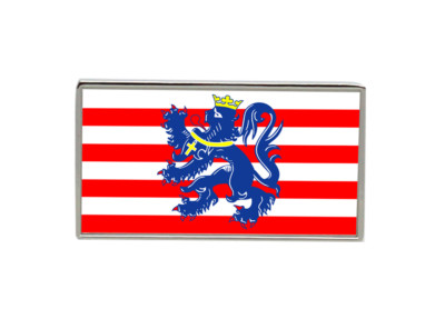 Bruges Brugge (Belgium) Flag Lapel Pin Badge