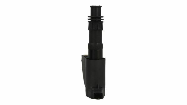 ZüNdspule FüR Citroen C5 I II III,C6,C8; Peugeot 406,407,607,807; Fiat Ulysse-image
