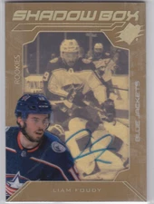 20/21 SPX..LIAM FOUDY..SHADOW BOX GOLD..ROOKIE AUTO../175..#SBA-LF..BLUE JACKETS