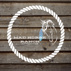 Mad Horse Ranch Antiques | eBay Stores