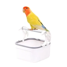 Bird Stand Tabletop Interactive Desktop Stand Tabletop Perch
