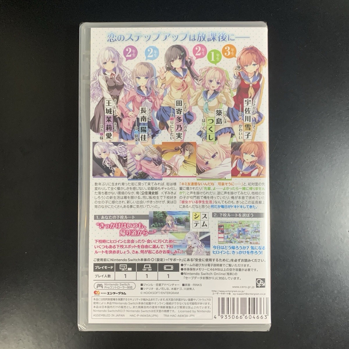 Game Houkago Cinderella Édition Limitée Nintendo Switch - Meccha Japan