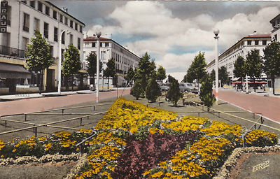 CPSM ROYAN L' AVENUE ARISTIDE BRIAND