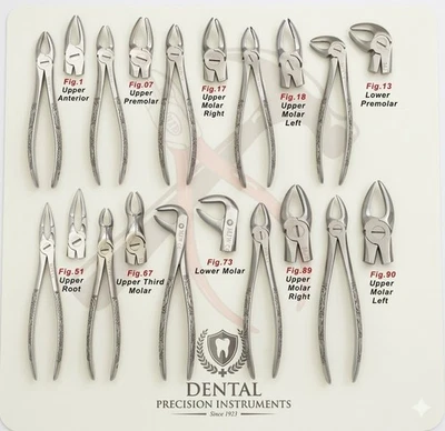 10pc Dental Extraction Forceps Set Upper Lower Molars Roots Surgical Stainless - Image 1 of 4