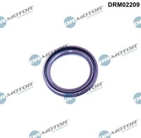 DRM02209 Dr.Motor Automotive Wellendichtring, Kurbelwelle FüR Audi,Bentley,Porsc