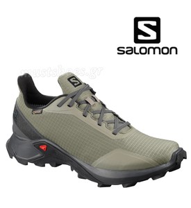ebay salomon