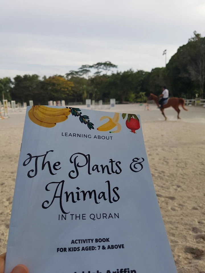 The Plants & Animals In The Quran Activity Book - Image 4 of 4