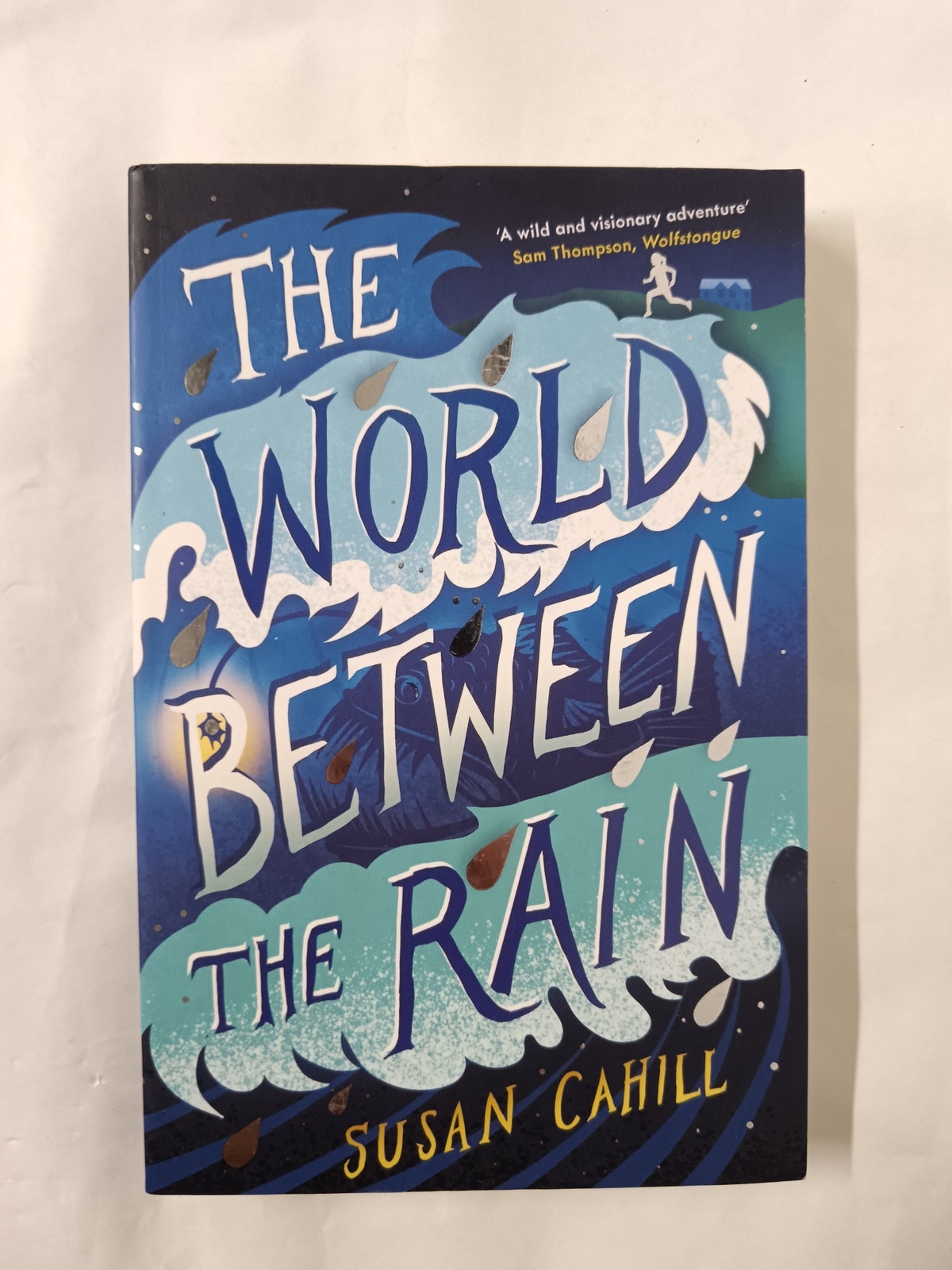 The World between the Rain